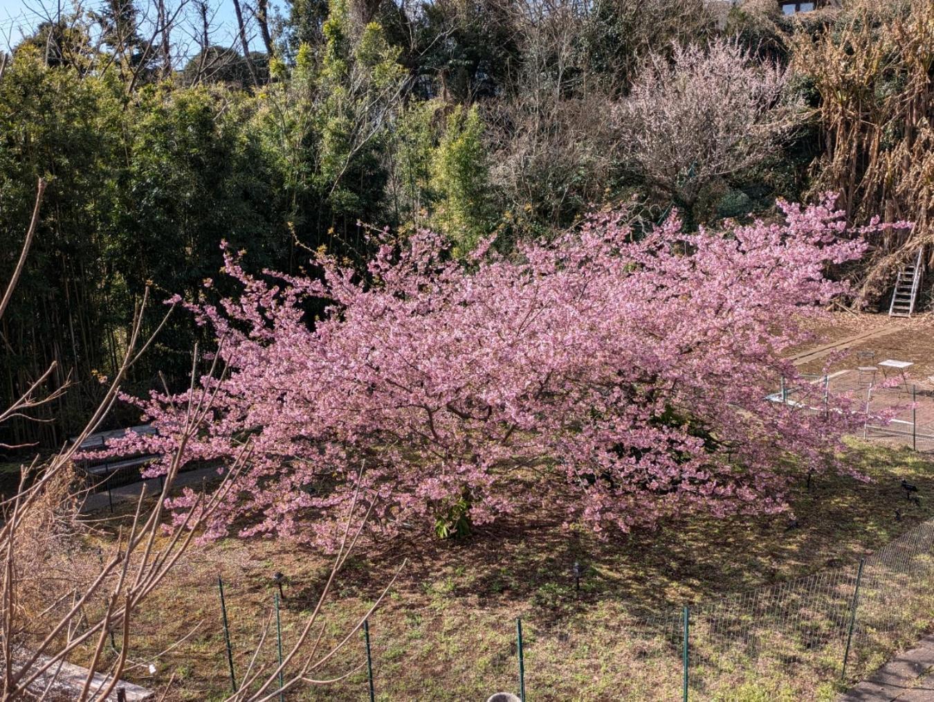 オリエンタルロータス Villa Ito  Luaran gambar